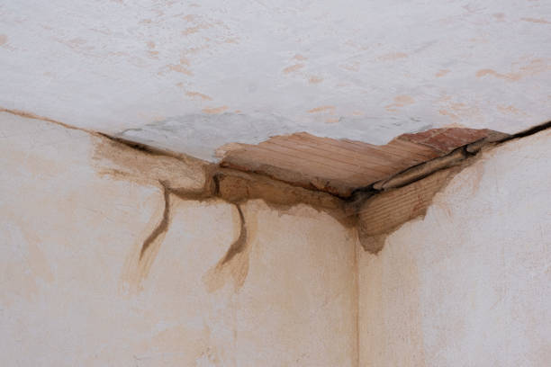 Best Professional water damage repair  in Sea Girt, NJ