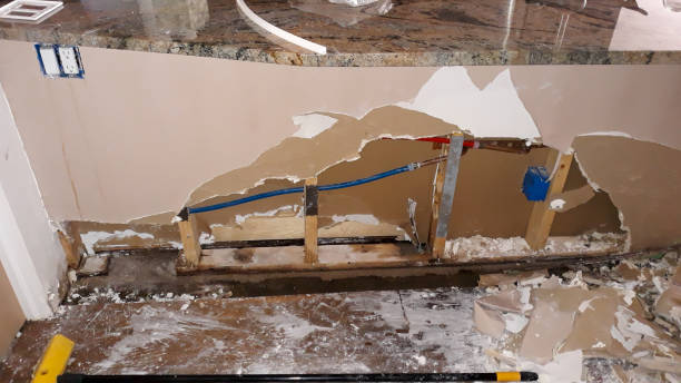 Best Flooded house restoration  in Sea Girt, NJ