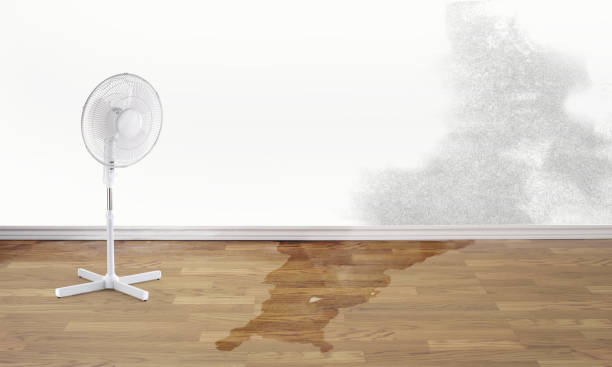 Best 24-hour water damage restoration  in Sea Girt, NJ