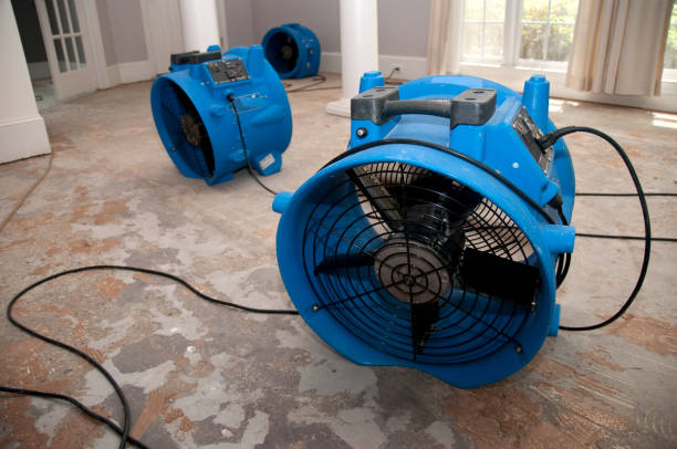 Best Ceiling water damage repair  in Sea Girt, NJ