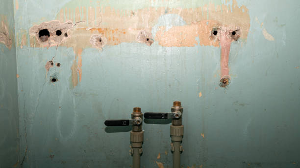 Best Fire Damage Restoration  in Sea Girt, NJ