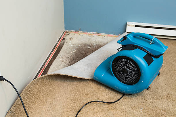 Best Water damage contractors near me  in Sea Girt, NJ